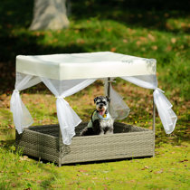 Dog cheap patio furniture